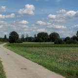 1208F 125 Rhein-Radweg